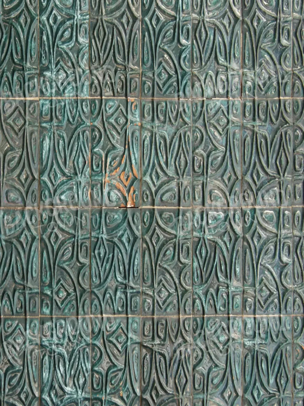 Canister 8X10 Fleece ( 96 X 120 Inch ) Backdrop