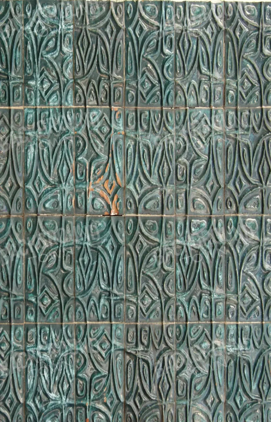 Canister 8X12 Ultracloth ( 96 X 144 Inch ) Backdrop