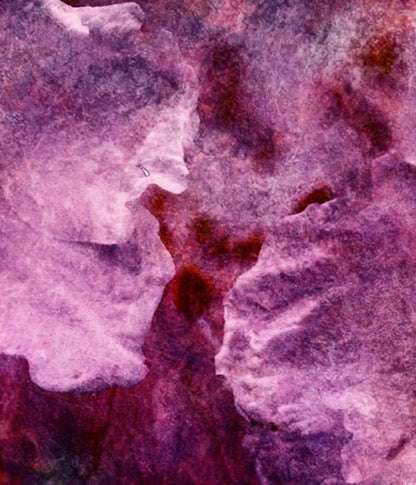 Captivate 10X12 Ultracloth ( 120 X 144 Inch ) Backdrop