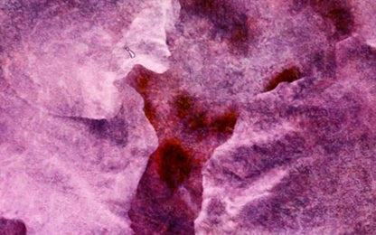 Captivate 14X9 Ultracloth ( 168 X 108 Inch ) Backdrop