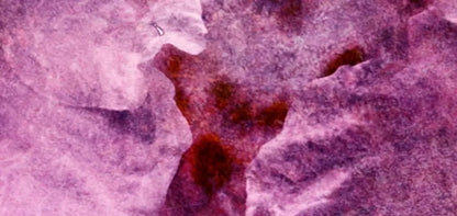 Captivate 16X8 Ultracloth ( 192 X 96 Inch ) Backdrop