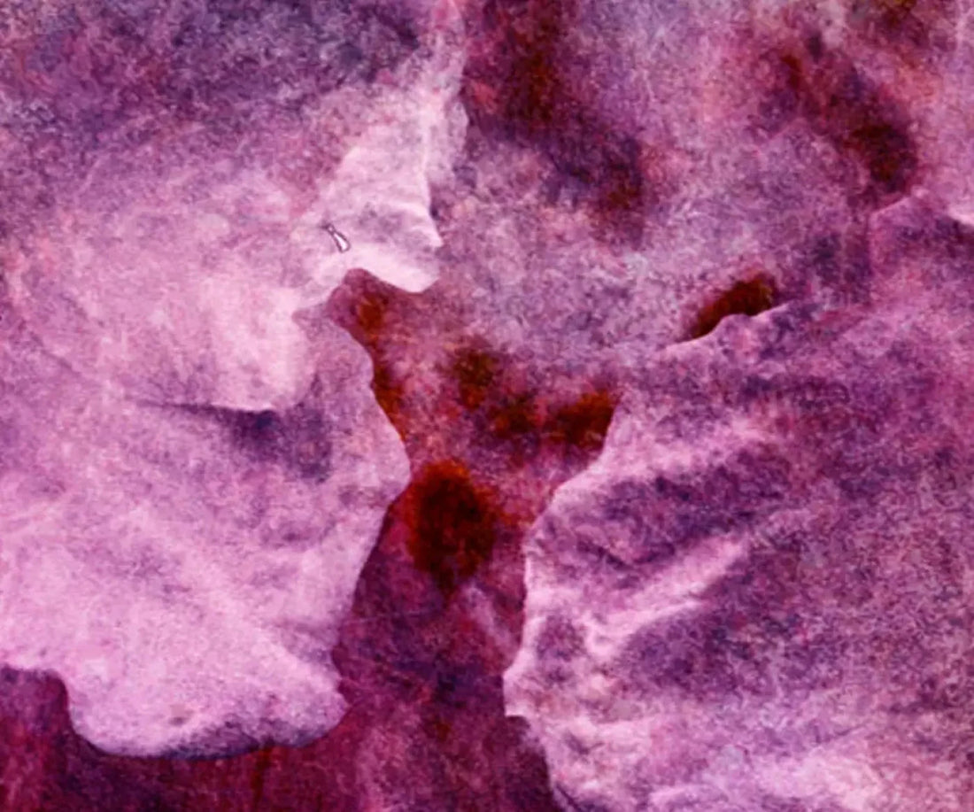 Captivate 5X42 Fleece ( 60 X 50 Inch ) Backdrop