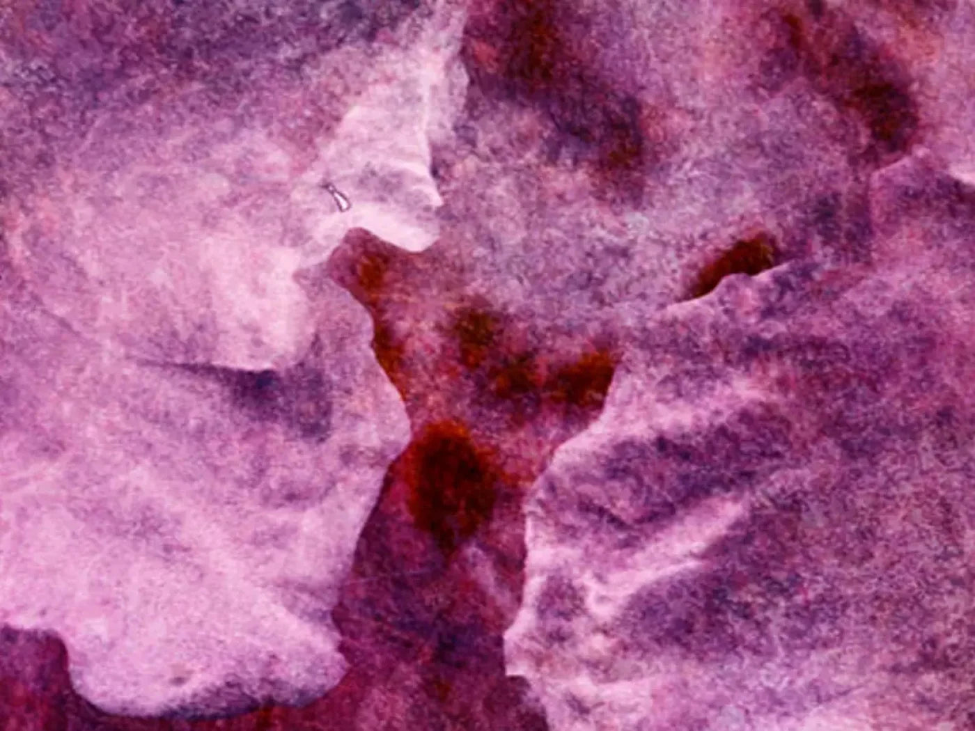 Captivate 68X5 Fleece ( 80 X 60 Inch ) Backdrop