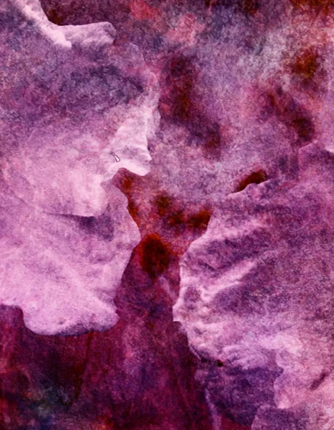 Captivate 6X8 Fleece ( 72 X 96 Inch ) Backdrop