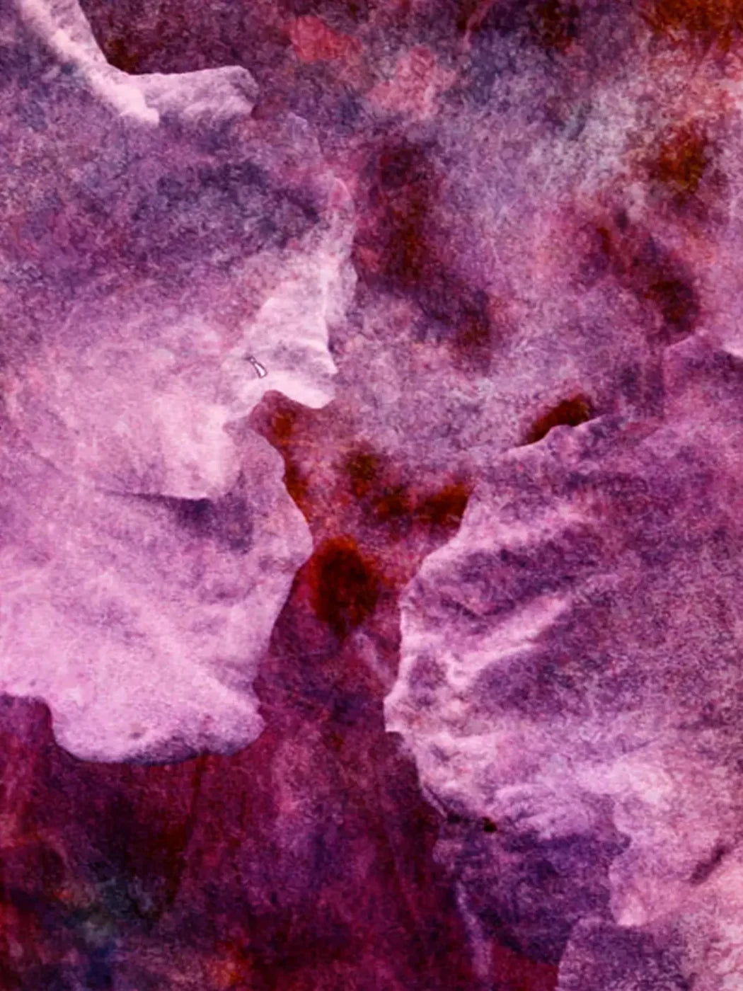 Captivate 8X10 Fleece ( 96 X 120 Inch ) Backdrop