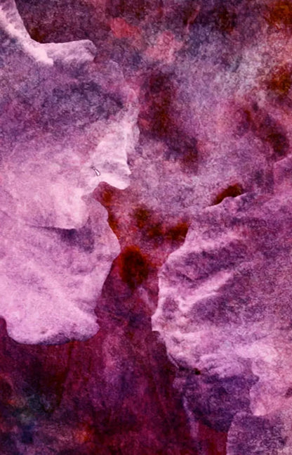 Captivate 8X12 Ultracloth ( 96 X 144 Inch ) Backdrop