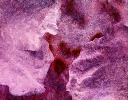 Captivate 8X6 Fleece ( 96 X 72 Inch ) Backdrop