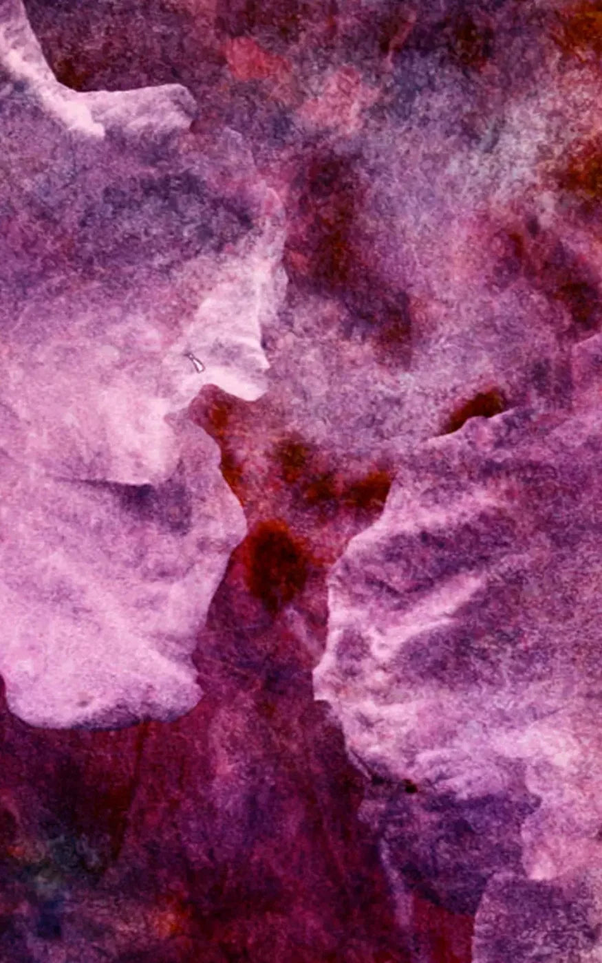 Captivate 9X14 Ultracloth ( 108 X 168 Inch ) Backdrop