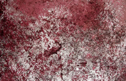 Cardinal 12X8 Ultracloth ( 144 X 96 Inch ) Backdrop