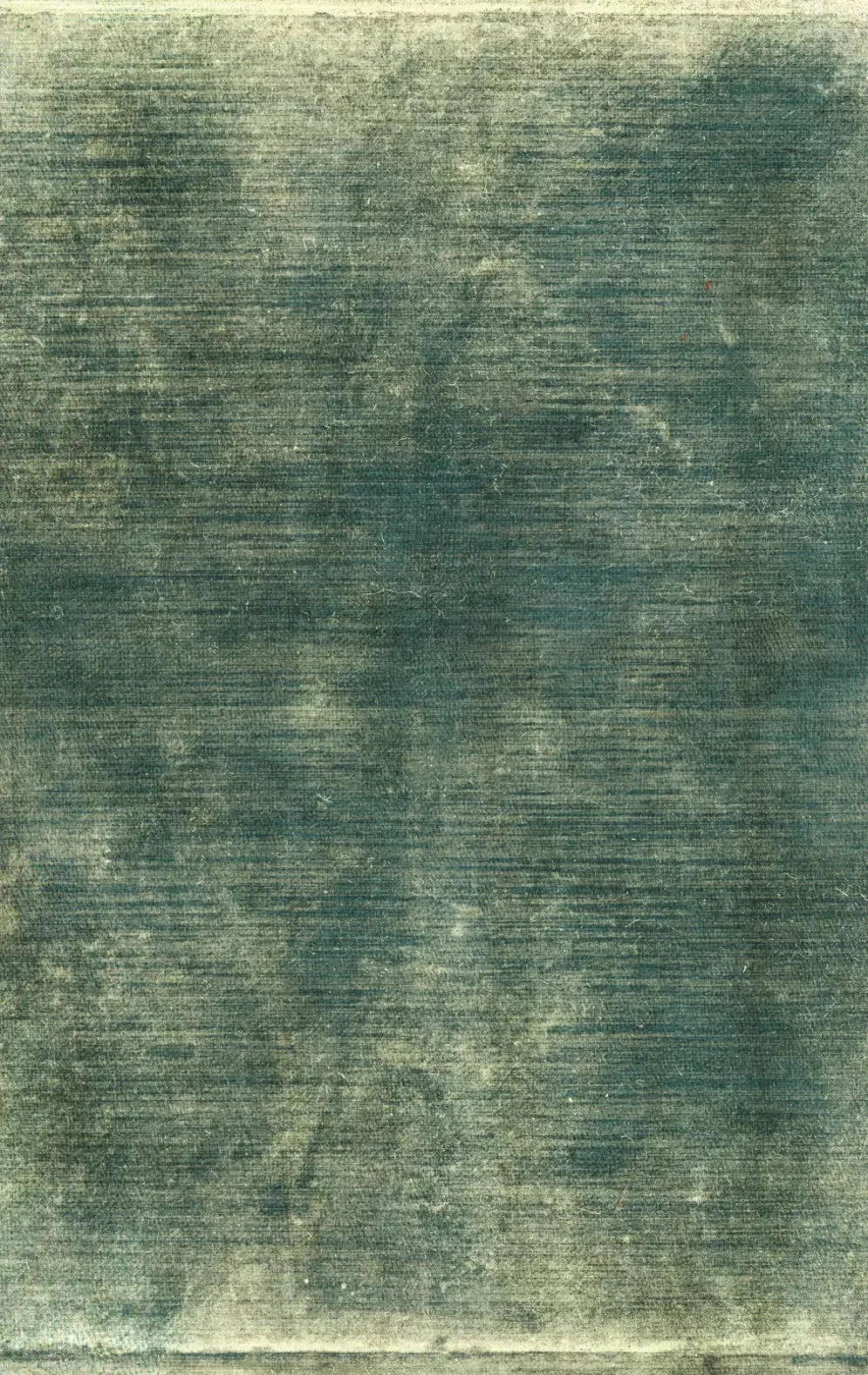 Carlos 10X16 Ultracloth ( 120 X 192 Inch ) Backdrop