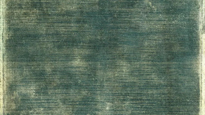 Carlos 14X8 Ultracloth ( 168 X 96 Inch ) Backdrop