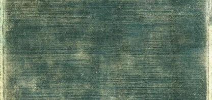 Carlos 16X8 Ultracloth ( 192 X 96 Inch ) Backdrop