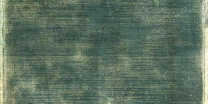 Carlos 20X10 Ultracloth ( 240 X 120 Inch ) Backdrop