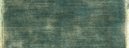 Carlos 20X8 Ultracloth ( 240 X 96 Inch ) Backdrop
