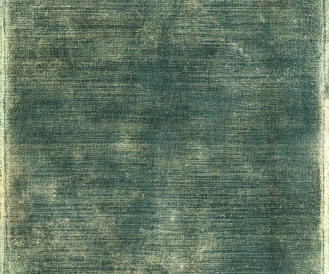 Carlos 5X42 Fleece ( 60 X 50 Inch ) Backdrop