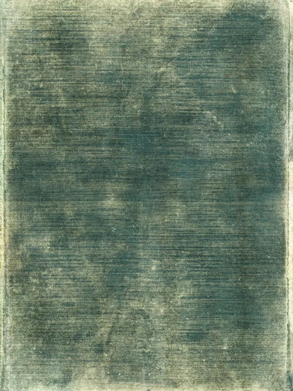 Carlos 5X68 Fleece ( 60 X 80 Inch ) Backdrop