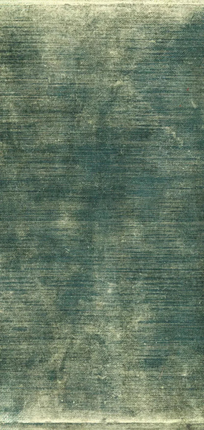 Carlos 8X16 Ultracloth ( 96 X 192 Inch ) Backdrop