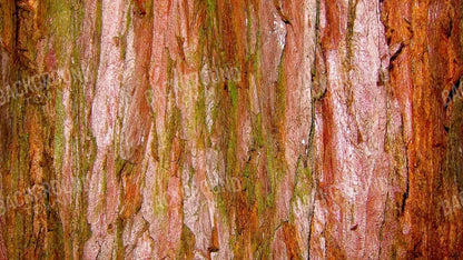 Carmelo 14X8 Ultracloth ( 168 X 96 Inch ) Backdrop