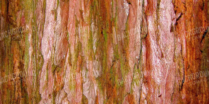 Carmelo 20X10 Ultracloth ( 240 X 120 Inch ) Backdrop