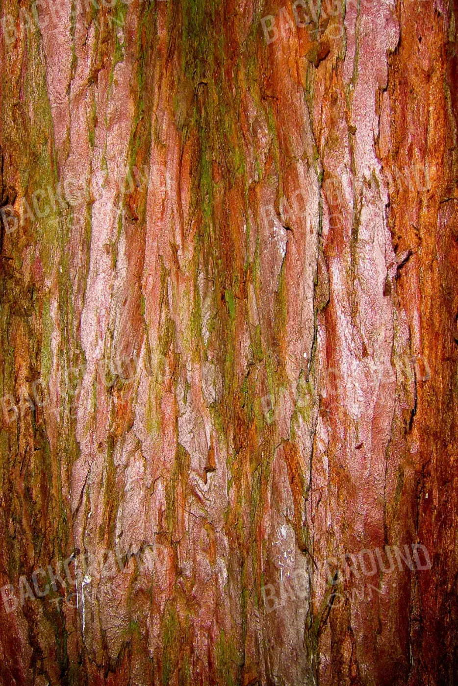 Carmelo 5X8 Ultracloth ( 60 X 96 Inch ) Backdrop