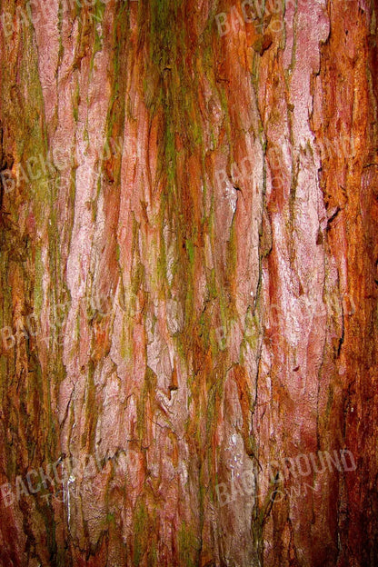 Carmelo 5X8 Ultracloth ( 60 X 96 Inch ) Backdrop