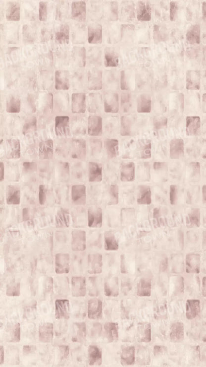 Carrie 8X14 Ultracloth ( 96 X 168 Inch ) Backdrop