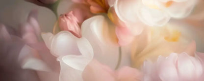 Carrie Garden 20’X8’ Ultracloth (240 X 96 Inch) Backdrop