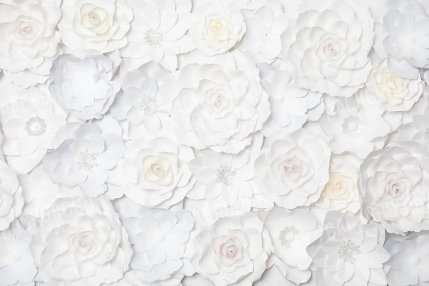 Carrie White Flowers 12’x8’ UltraCloth (144 x 96 inch) Backdrop