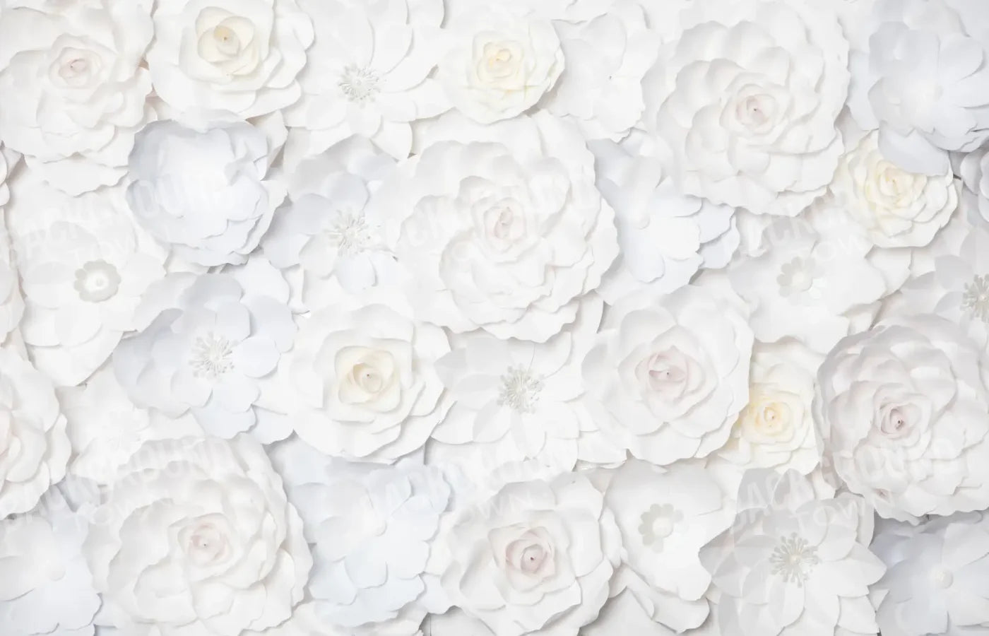 Carrie White Flowers 14’x9’ UltraCloth (168 x 108 inch) Backdrop