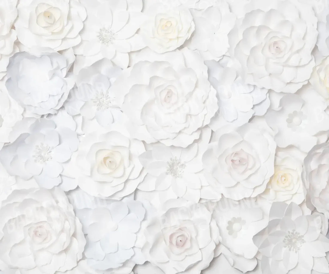 White Backdrop for Photography