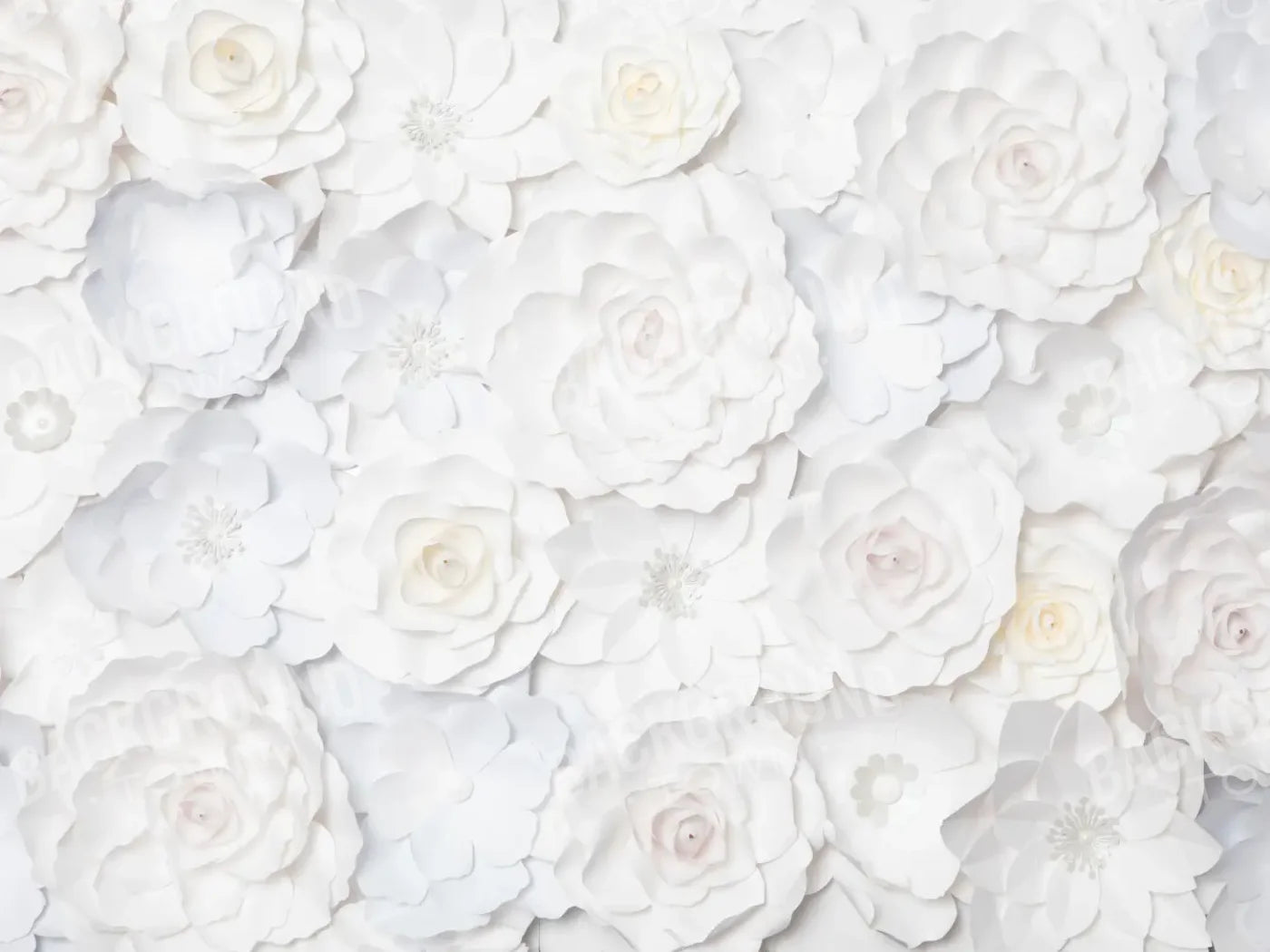 Carrie White Flowers 6’8x5’ Fleece (80 x 60 inch) Backdrop