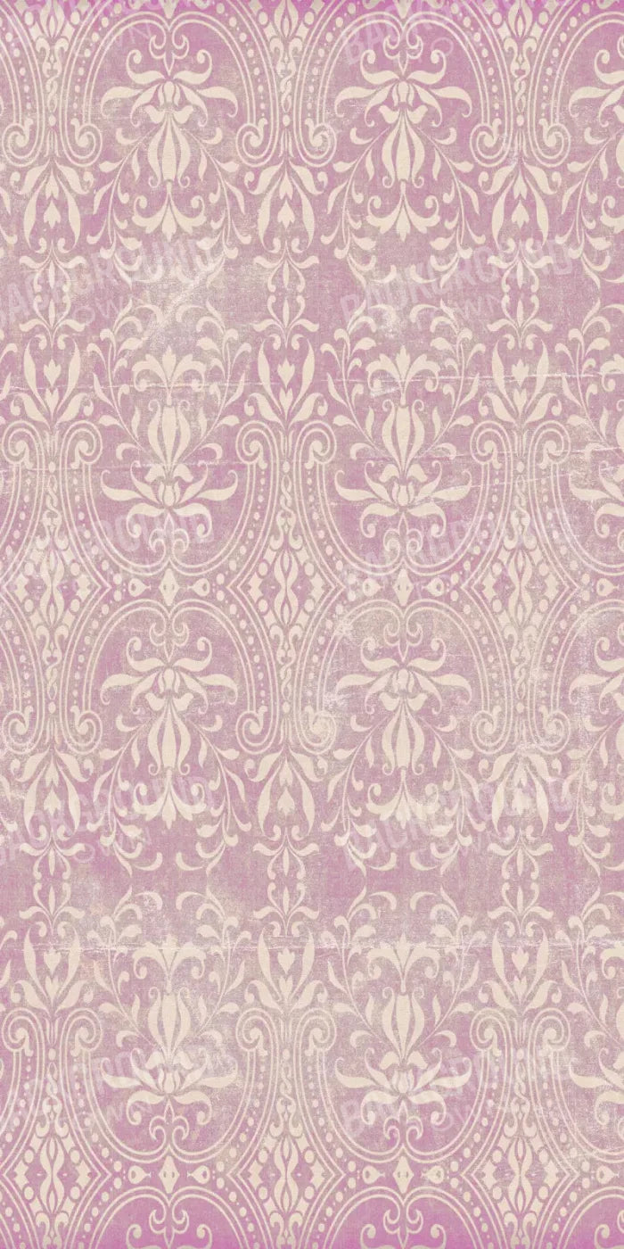 Cass 10X20 Ultracloth ( 120 X 240 Inch ) Backdrop