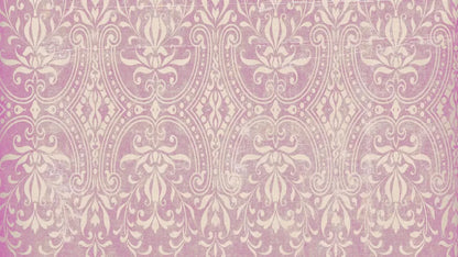 Cass 14X8 Ultracloth ( 168 X 96 Inch ) Backdrop
