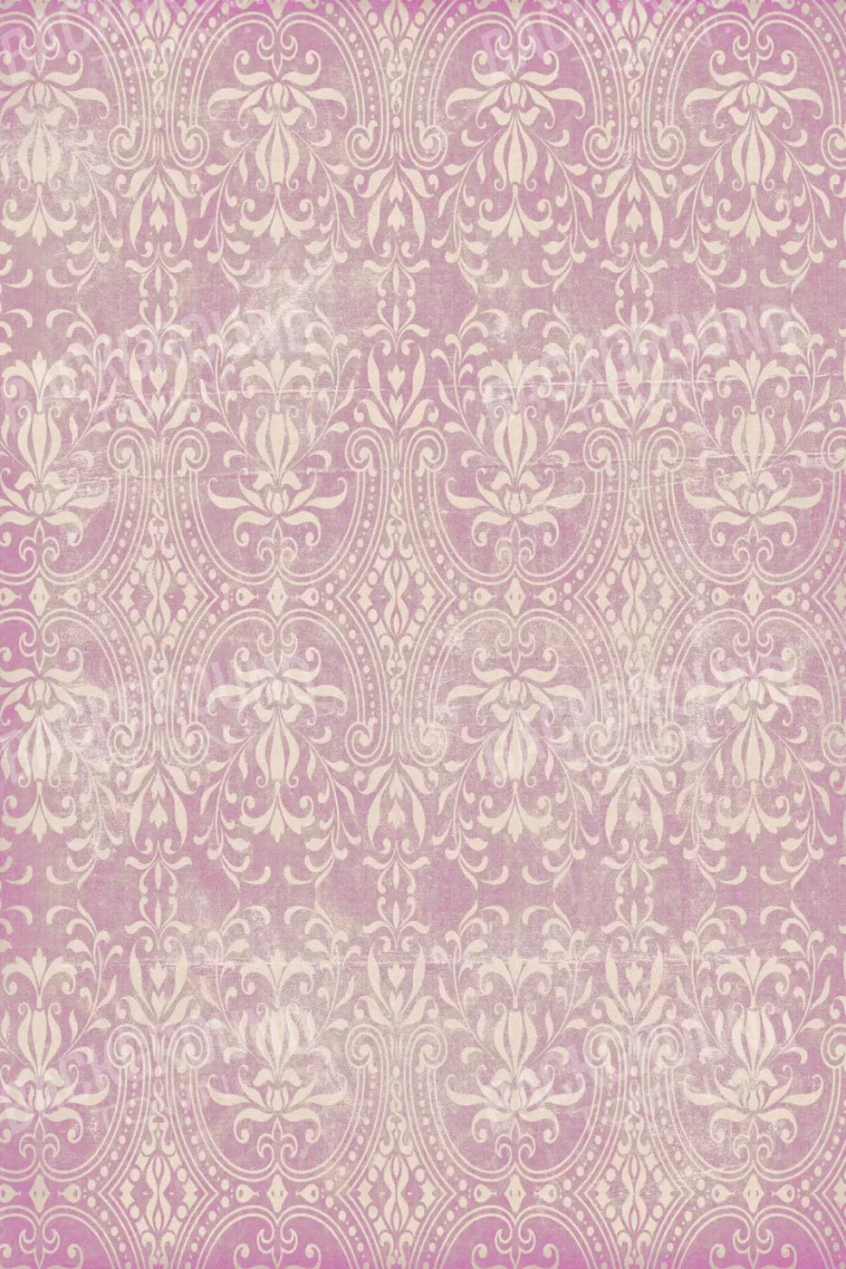 Cass 5X8 Ultracloth ( 60 X 96 Inch ) Backdrop