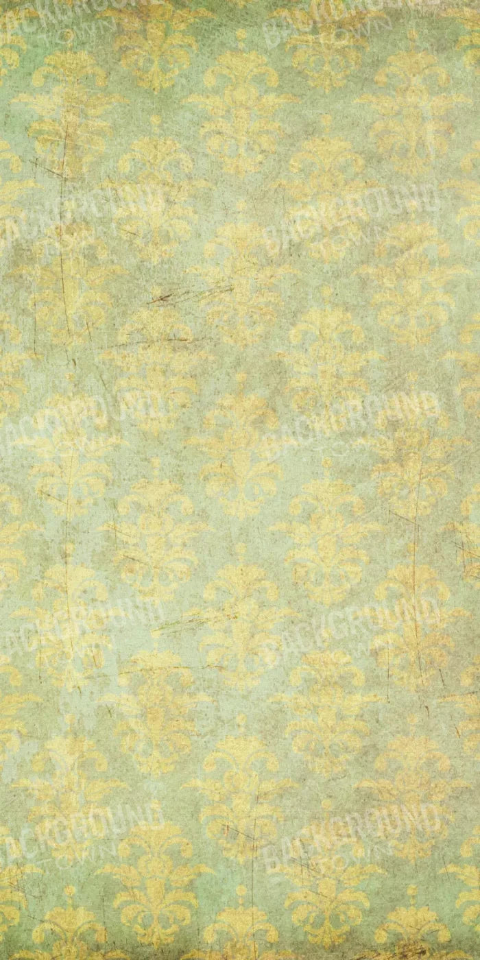 Cassis 10X20 Ultracloth ( 120 X 240 Inch ) Backdrop