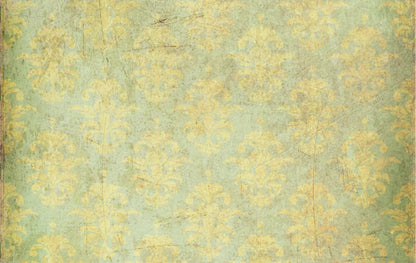 Cassis 16X10 Ultracloth ( 192 X 120 Inch ) Backdrop