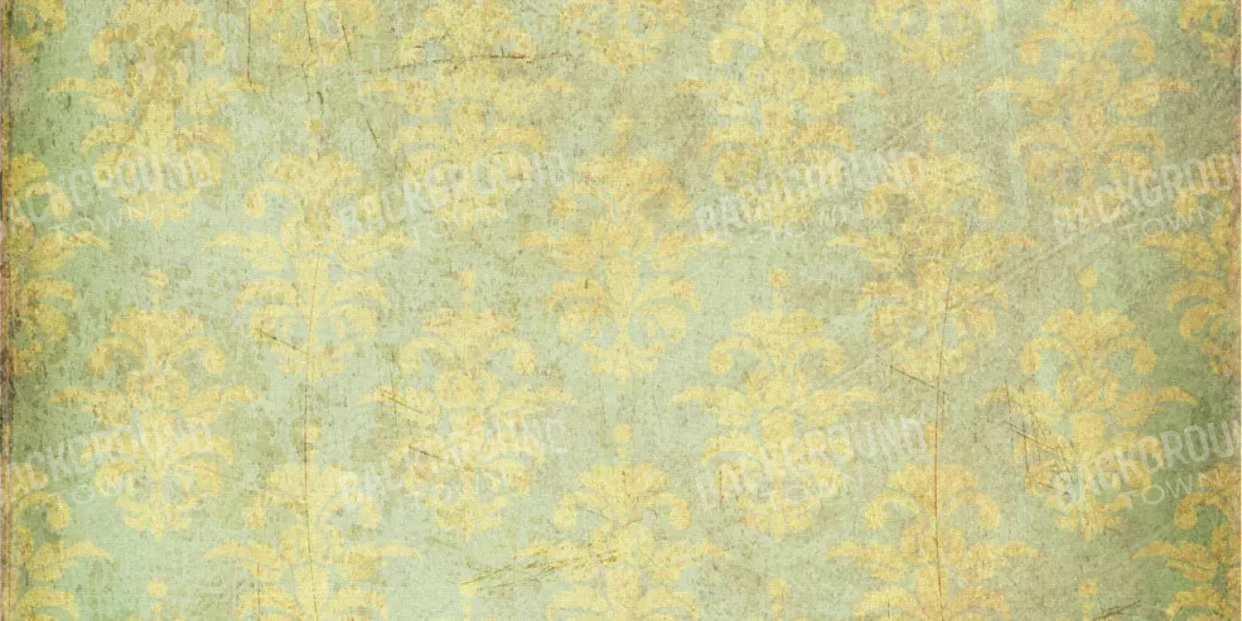Cassis 20X10 Ultracloth ( 240 X 120 Inch ) Backdrop