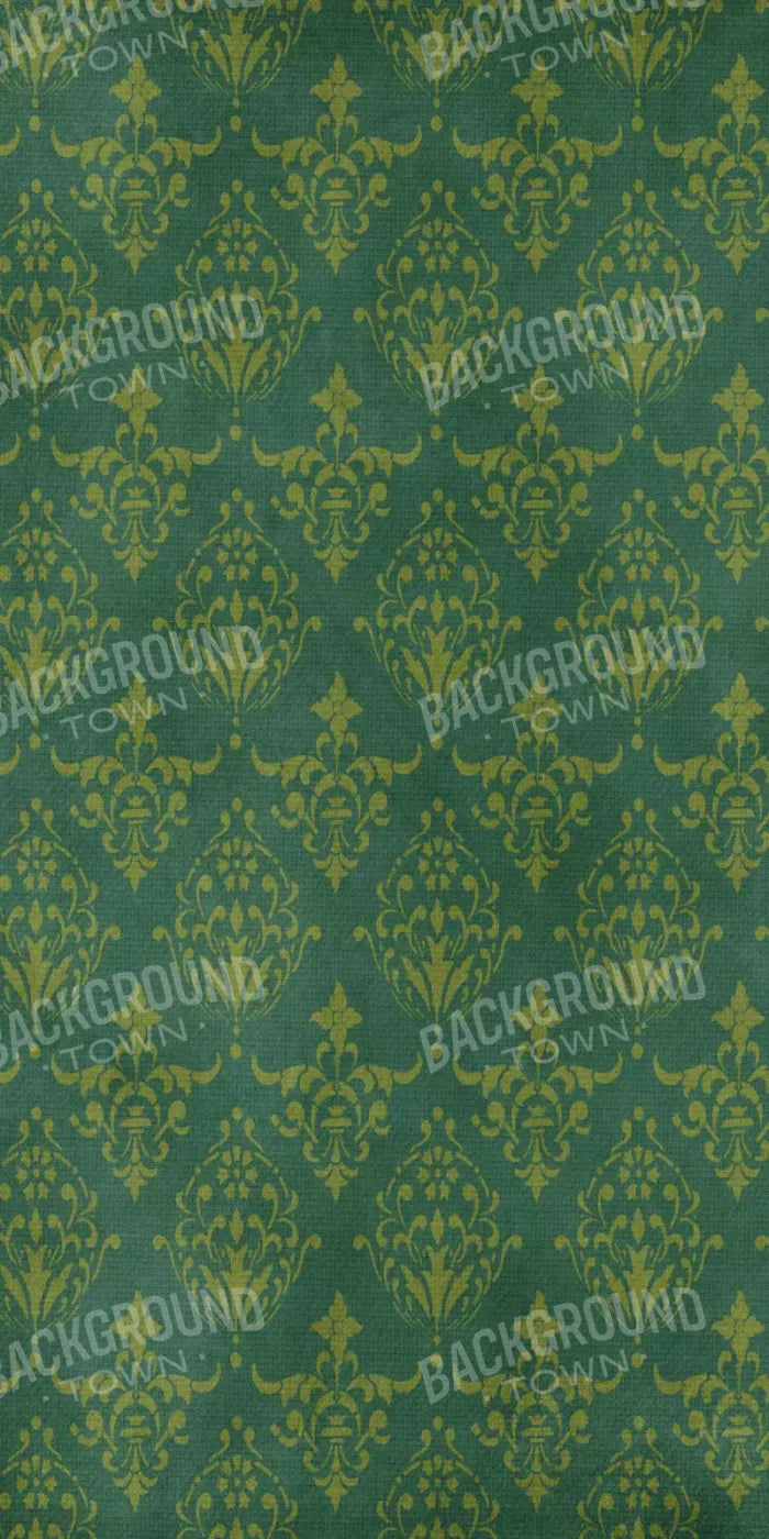 Catherines Room 10X20 Ultracloth ( 120 X 240 Inch ) Backdrop