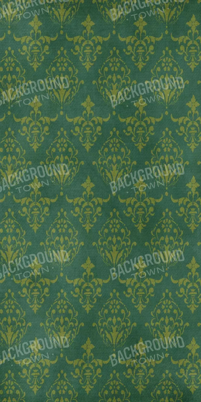 Catherines Room 10X20 Ultracloth ( 120 X 240 Inch ) Backdrop