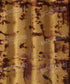 Brown Urban Grunge Backdrop for Photography