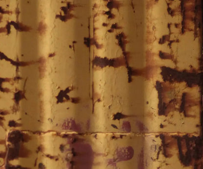 Cautioned 5X42 Fleece ( 60 X 50 Inch ) Backdrop