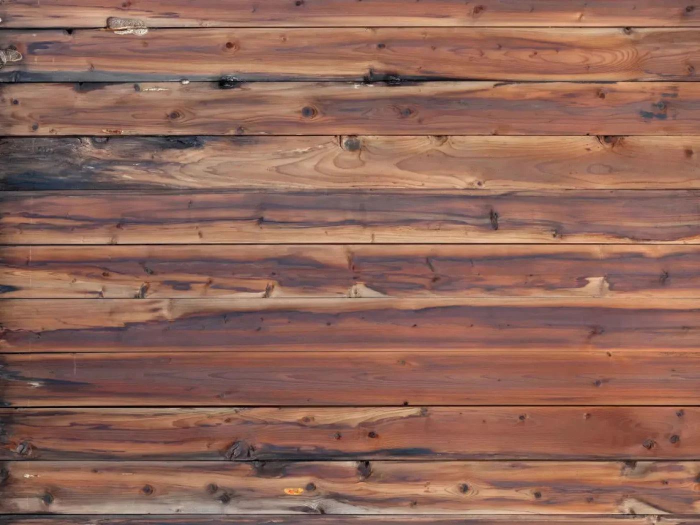 Cedar Mill 10X8 Fleece ( 120 X 96 Inch ) Backdrop