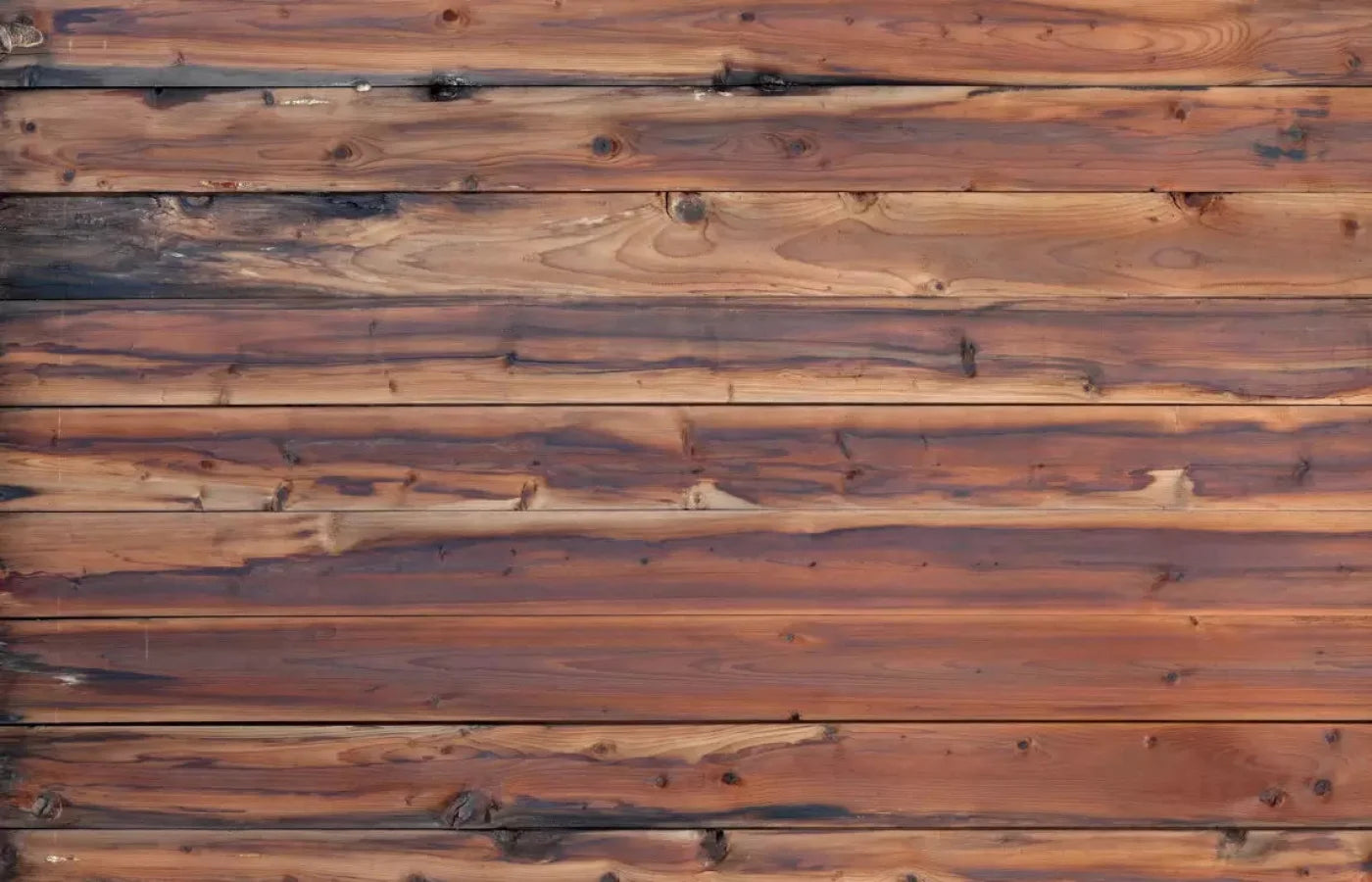 Cedar Mill 12X8 Ultracloth ( 144 X 96 Inch ) Backdrop