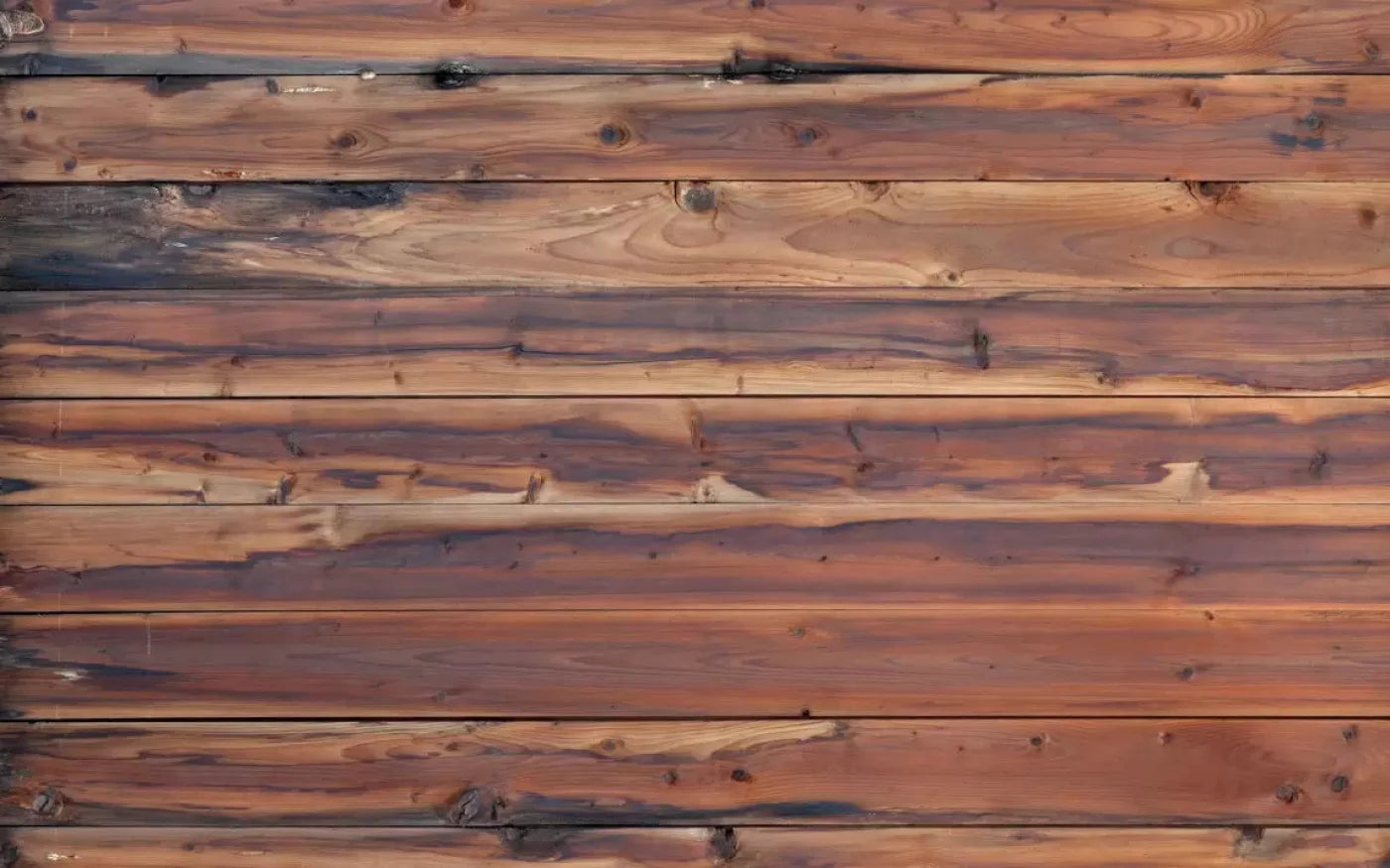 Cedar Mill 14X9 Ultracloth ( 168 X 108 Inch ) Backdrop