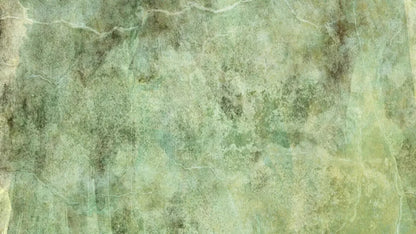 Celery 14X8 Ultracloth ( 168 X 96 Inch ) Backdrop