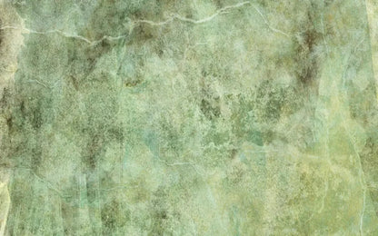 Celery 14X9 Ultracloth ( 168 X 108 Inch ) Backdrop