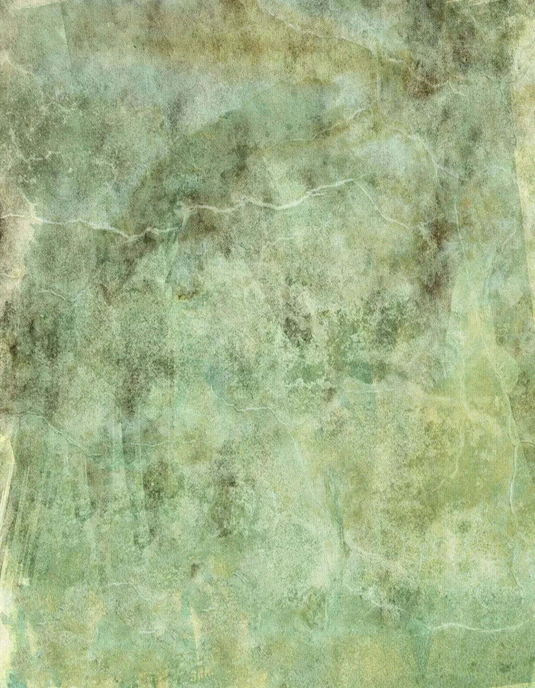Celery 6X8 Fleece ( 72 X 96 Inch ) Backdrop