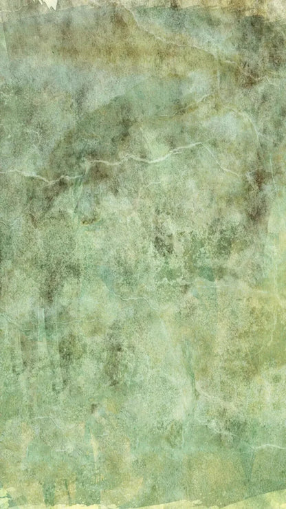Celery 8X14 Ultracloth ( 96 X 168 Inch ) Backdrop