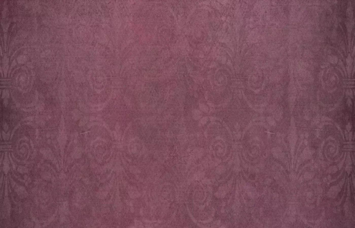 Celia 12X8 Ultracloth ( 144 X 96 Inch ) Backdrop
