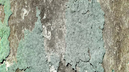 Cell 14X8 Ultracloth ( 168 X 96 Inch ) Backdrop